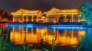 蓼河夜景