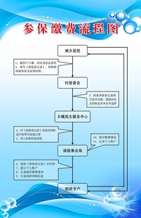 参保缴费流程图