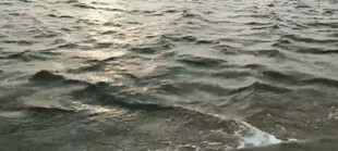 海水