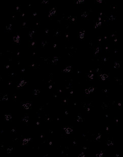涂鸦