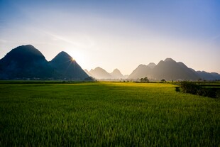 逆光山下的麦田