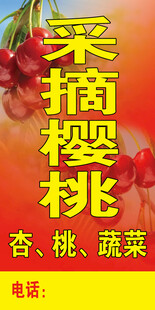 采摘