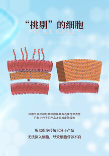 挑剔的细胞