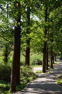 园林风景  