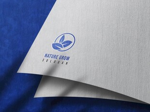 logo样机