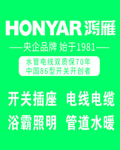 鸿雁