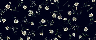黑底花