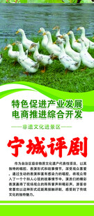 宁城  评剧 