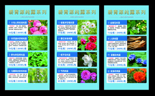 花卉产品