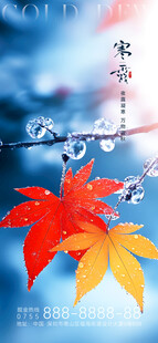 寒露节气海报