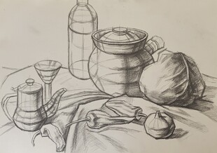 素描蔬菜静物结构