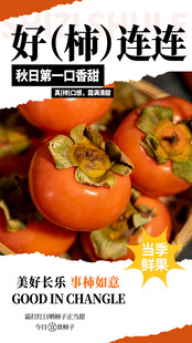 秋天的柿子海报
