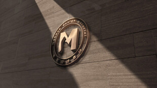LOGO样机展示
