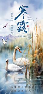 寒露海报