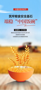 农民丰收节 