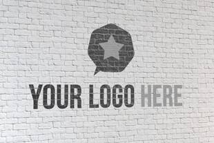 logo样机素材 
