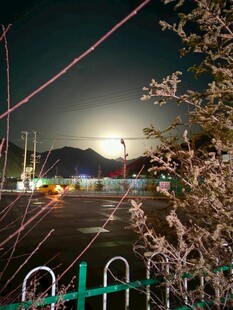 月光