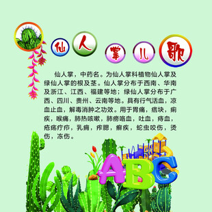 仙人掌