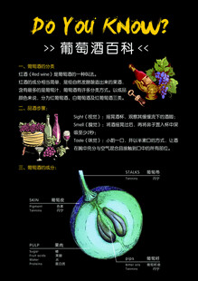 葡萄酒百科