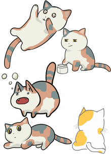 可爱猫