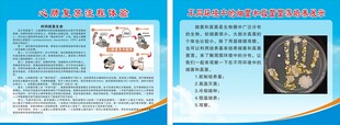 心肺复苏流程体验  时间就是生