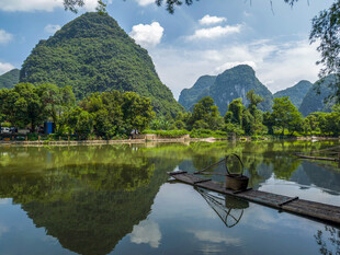 广西阳朔大榕树景区  