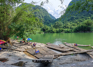 广西阳朔大榕树景区 