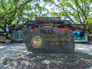 广西阳朔大榕树景区 