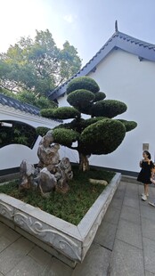 石鼓书院