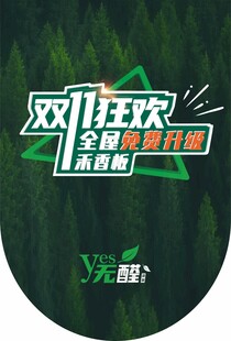 双11吊旗设计