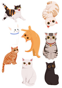卡通猫咪