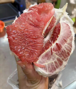 红柚
