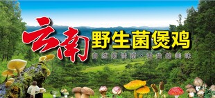 云南野生菌