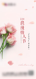 情人节