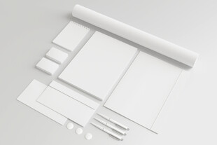 logo样机素材 