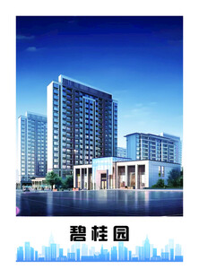 碧桂园海报