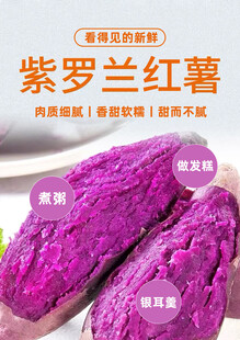 紫罗兰紫薯