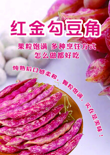 红金勾豆角