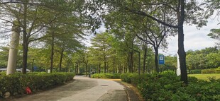 麒麟山公园景色