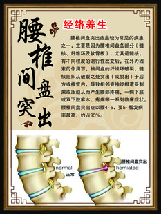 经络养生