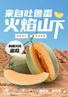 哈密瓜海报
