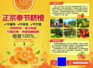奉节脐橙 