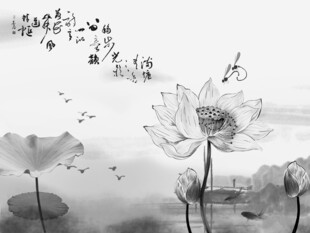 荷花水墨画图片