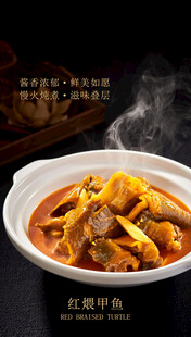 红煨甲鱼