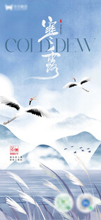寒露节气微海报