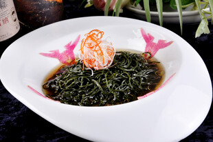  海发菜