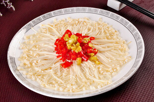  菊花金针菇菌