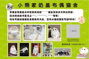 猫舍喷绘 宣传  海报