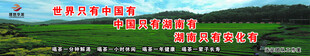 理想华莱黑茶