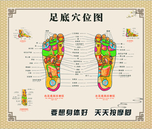 足底穴位图 双足穴位  